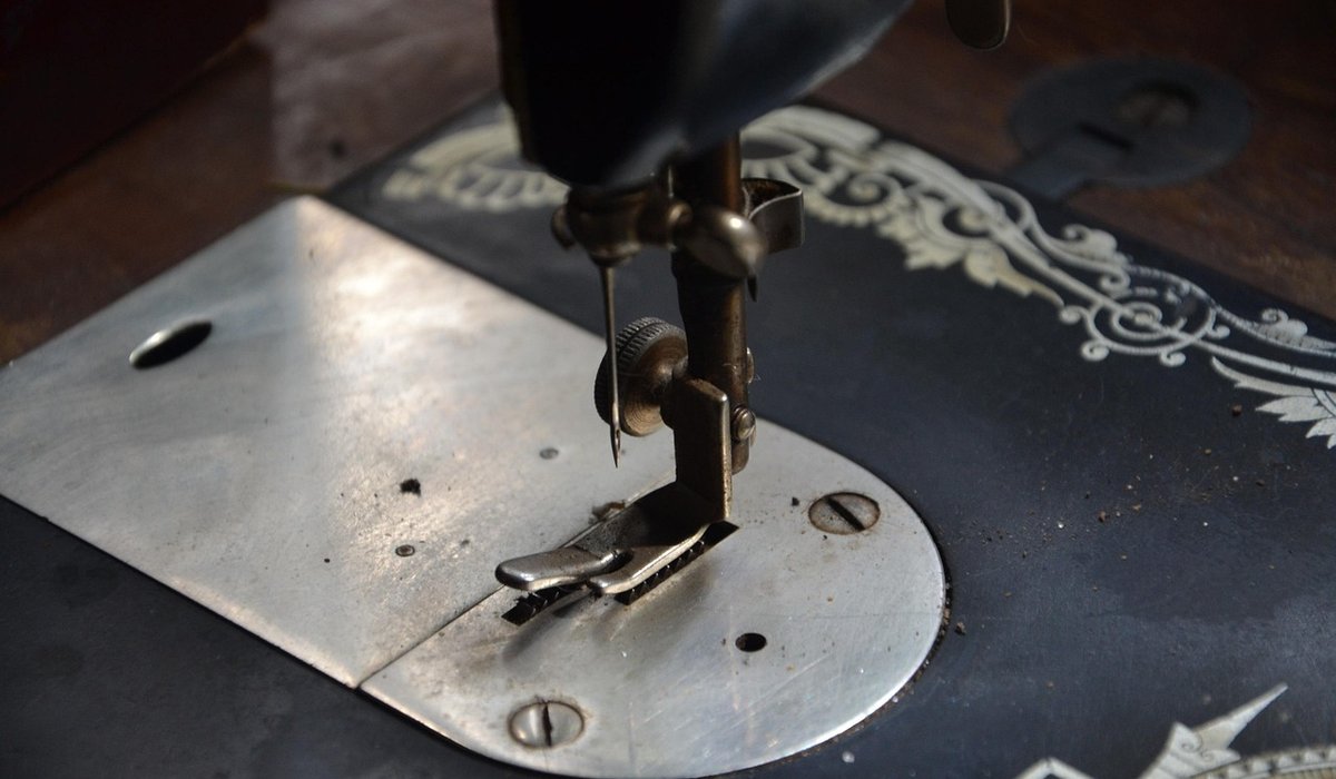 Pressing Flowers for Framed Wall Art